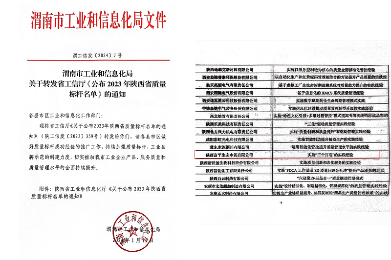 喜報！富平公司榮獲陜西省質量標桿榮譽